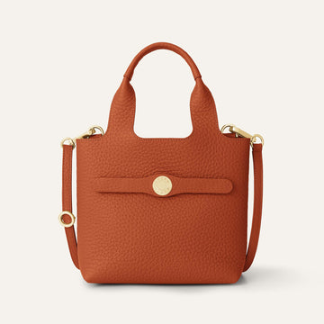 Tansy Mini | Burnt Orange with Gold hardware