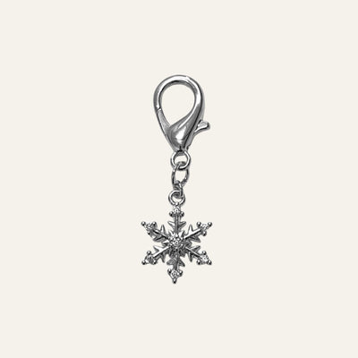 Snowflake Charm | Product Collection 2025