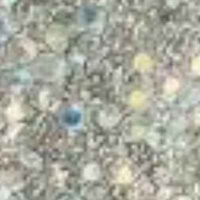 Last Chance Style Collection | Main Collection 2026