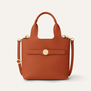 Tansy Mini | Burnt Orange with Gold hardware