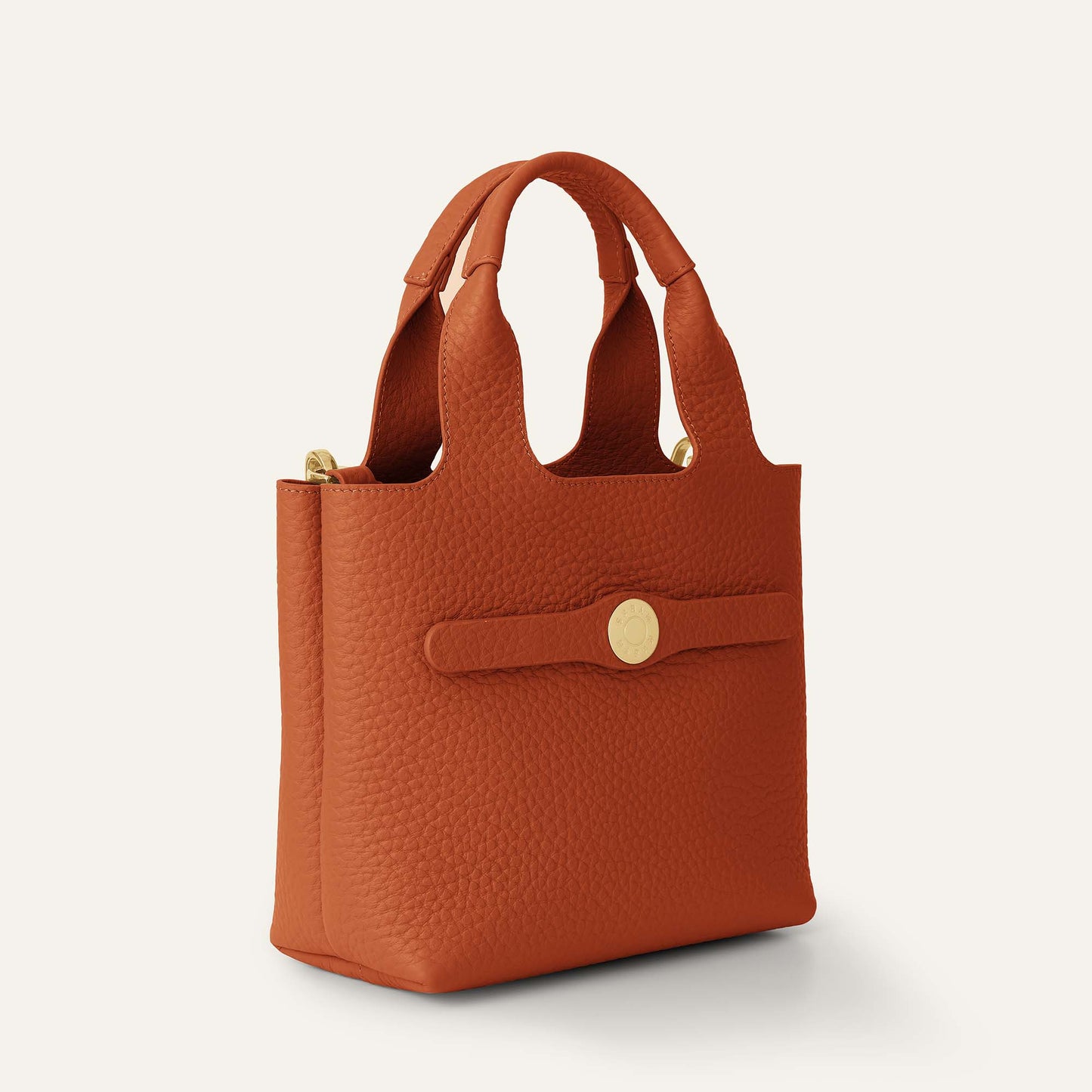 Tansy Mini | Burnt Orange with Gold hardware