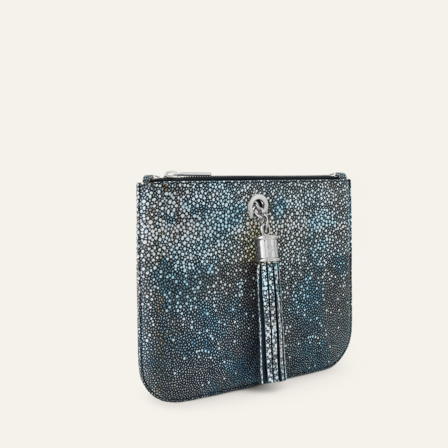 Ivy | Multi Colour Shagreen with Silver hardware