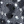 Blue Leopard