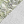 Lichen Soft Metallic Silver