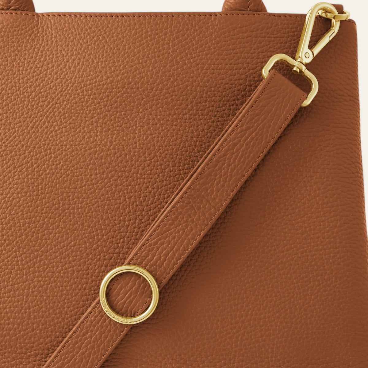 Tan Sarah Haran Dahlia Tote with Gold hardware detail